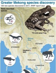 Graphic on newly discovered species in the Greater Mekong region of south Vietnam. A WWF report out Tuesday says that 126 species were discovered in the area in 2011. But from forest loss to the construction of major hydropower projects on the Mekong River, existing threats to the region's biodiversity mean many of the new species are already struggling to survive, the conservation group warned