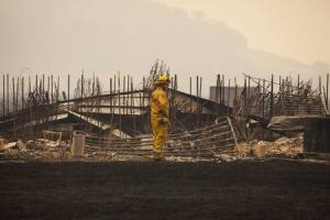 A firefighter surveys a destroyed home at the so-called&nbsp;&hellip;