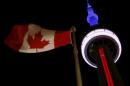 Toronto's landmark CN Tower is lit blue, white and red in the colors of the French flag following Paris attacks