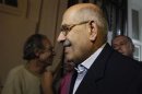Senior opposition figure ElBaradei arrives to speak with anti-Mursi protesters made up of intellectuals and artists inside Egypt's Ministry of Culture during their sit-in protest in Cairo