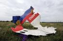 A piece of wreckage from Malaysia Airlines flight MH17 pictured in Shaktarsk, eastern Ukraine, on July 18, 2014