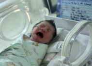 Seorang bayi yang baru lahir di RSIA Bunda, Jakarta, Rabu (29/2). (Republika/Edwin Dwi Putranto)