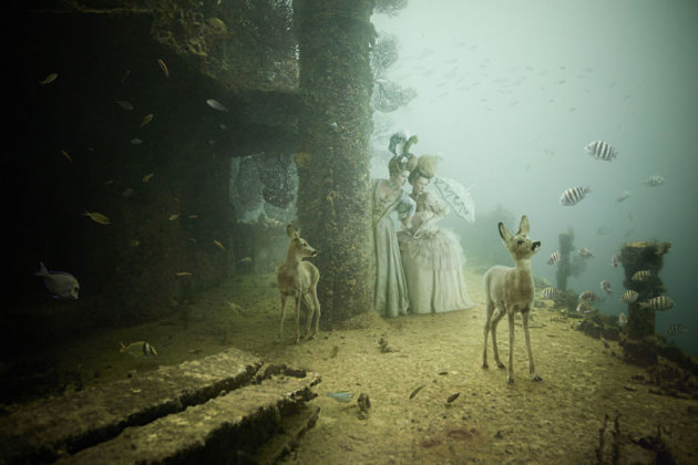Andreas Franke's Underwater Art Exhibition