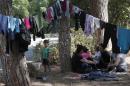 Syrian refugees pass time under the trees on the grounds of the hospital in the island of Leros, Greece, Monday, Aug. 17, 2015. This Greek island that was once a place of exile for political prisoners has become one of the country's most welcoming communities for migrants fleeing chaos and war, thanks to a dedicated grass-roots volunteer network and tourists interrupting their vacations to provide what help they can. But even on Leros, a 75-square kilometer (29 sq. mile) rocky outcrop in the Aegean Sea with a permanent population of fewer than 10,000 people, the welcome mat is fraying under the sheer numbers of migrants _ hundreds arrive in smugglers' boats most days _ making the perilous boat journey here across the Aegean Sea from Turkey. (AP Photo/Lefteris Pitarakis)