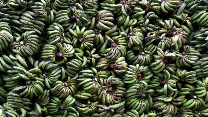 A pile of bananas seen in Tangerang, Indonesia, on March 1, 2013