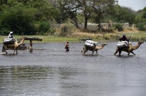 People ride camels as they cross a branch of Lake Chad &hellip;