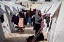 A Syrian refugee woman who fled violence in Syrian city of Ain al-Arab, known also as Kobani, hangs clothes outside her tent in a camp in the border town of Suruc, Turkey, Monday, Feb. 2, 2015. About 200,000 people arrived in Turkey since the start of fighting between Kurdish militia and Islamic State militants mid-September, 2014. (AP Photo/Emrah Gurel)