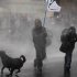 Perros callejeros se unen a las protestas en Chile
