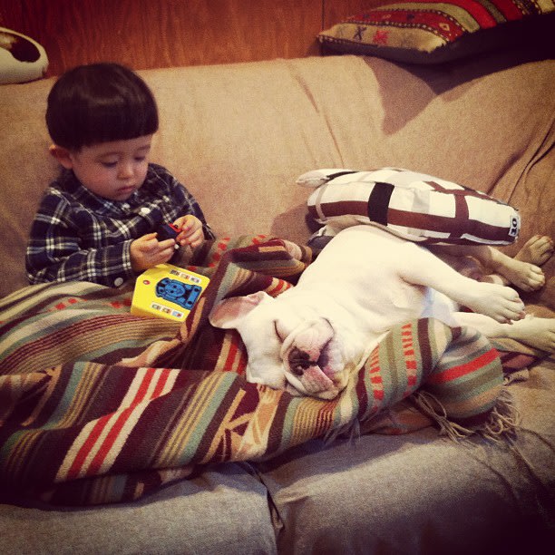 Cute Alert: Boy and His Dog …