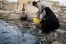 Displaced populations in Iraq have been affected by the lack of clean water