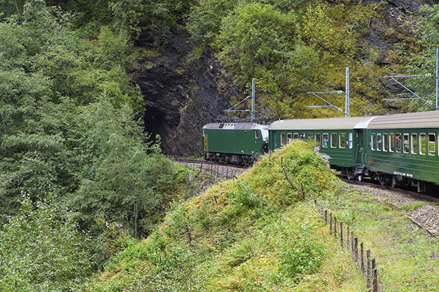 A train travels through the Scandinavian mountains (Thinkstock)