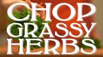 How to Chop Grassy Herbs