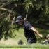 Tiger Woods of the U.S. reacts after hitting from the edge of a bunker on the sixth green during the second round of the 2012 U.S. Open golf tournament on the Lake Course at the Olympic Club in San Francisco