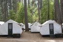 A view of the locked tents in the Curry Village section of Yosemite National Park in California