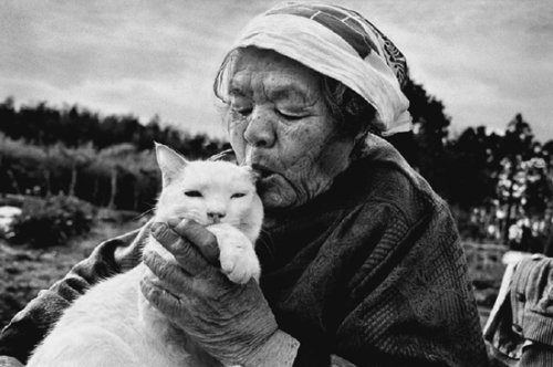 Tình bạn cảm động của bà lão 88 tuổi và mèo Grand21-jpg_035603