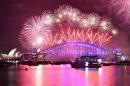 Around 1.5 million people packed Australia's biggest city to watch as the midnight fireworks erupted from Sydney Harbour Bridge