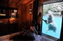Two women look at Taiko, a polar bear playing in its pond, from their lodge in the zoo of the French western city of La Fleche, on December 12, 2014