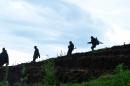 Democratic Republic of Congo soldiers advance on November 5, 2013 near Chanzu, in the eastern North Kivu region