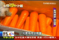 【台灣發光小鎮】橘色黃金！　胡蘿蔔銷日打響名號