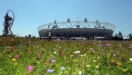A nature charity says Britain is gradually losing its wildflowers, seen here outside the Olympic Stadium in London