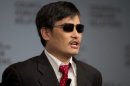 Chinese activist Chen Guangcheng