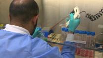 The problems of creating an Ebola vaccine